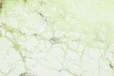 Polished Lemon Chrysoprase Section - Western Australia #353720-1